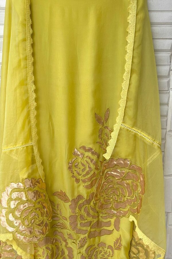 Organza With Shimmer Tissue Patchwork & Beautiful Cutwork Suit