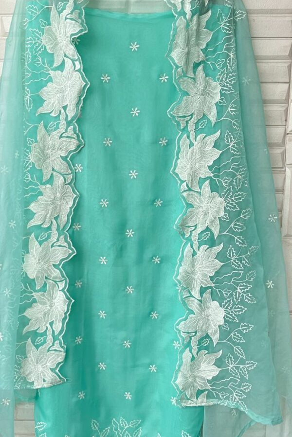 Organza With Resham Embroidery & Cutwork Suit